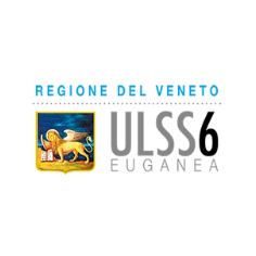 ulss6